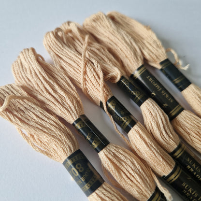 Embroidery Thread Cross Stitch Skeins Cotton Craft Sewing Coloured 6 Skeins